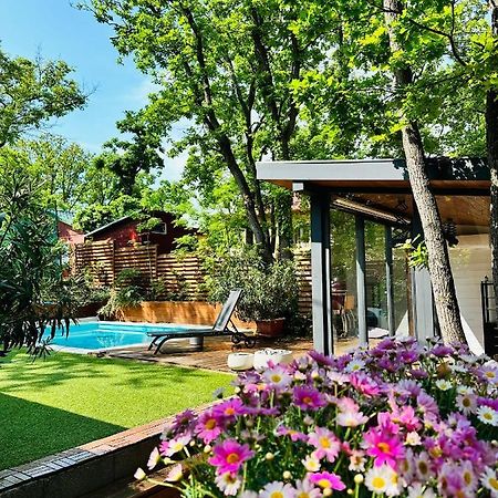 Pine-Wood Resort Balatonalmádi Exteriér fotografie