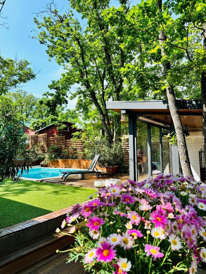Pine-Wood Resort Balatonalmádi Exteriér fotografie
